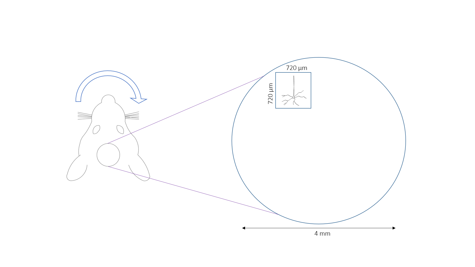 Figure1a