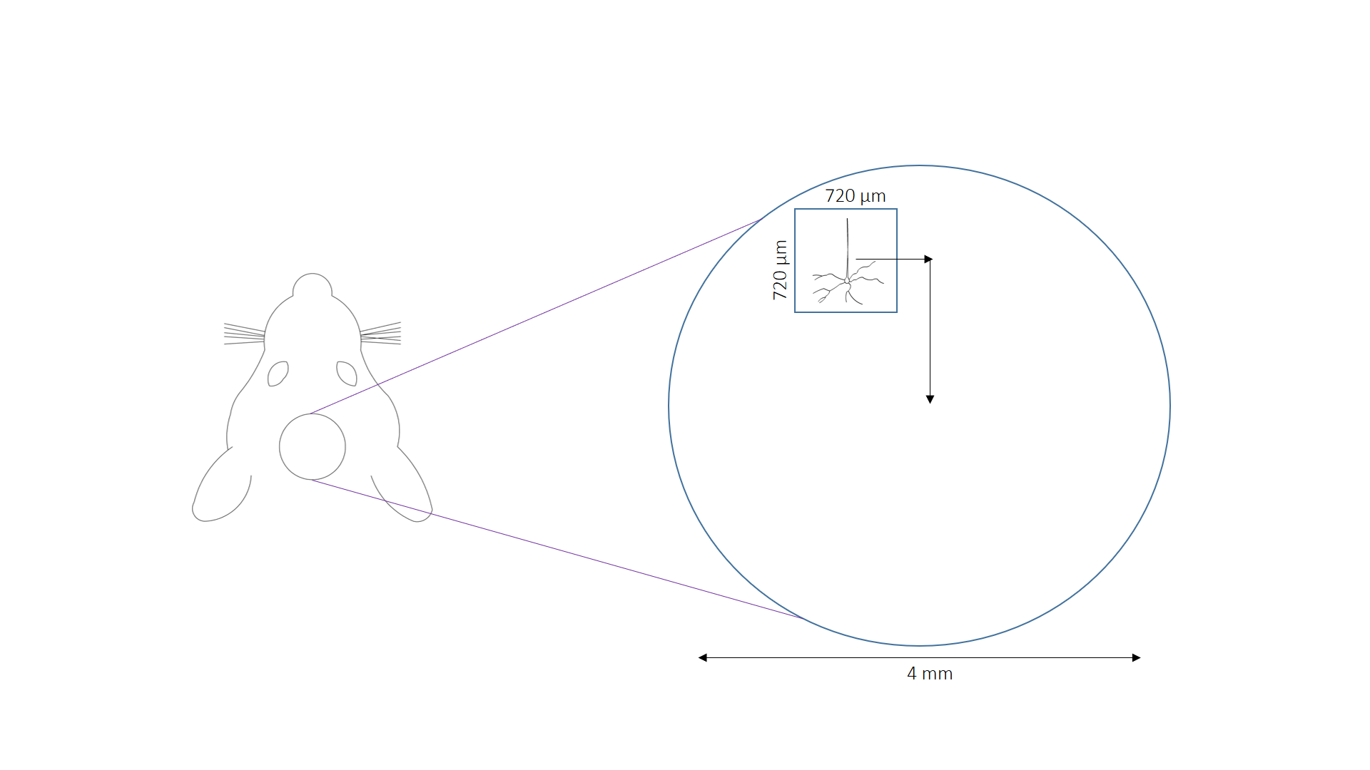 Figure2